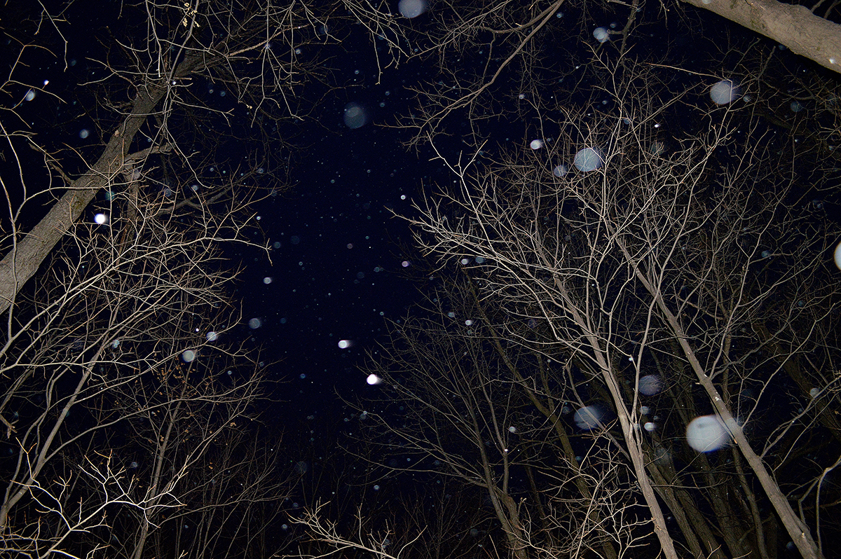 Nuit de rêve